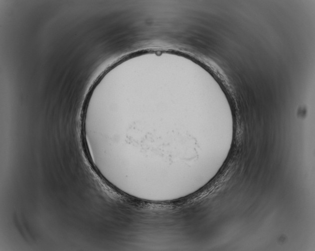 X0000099971183200806201354