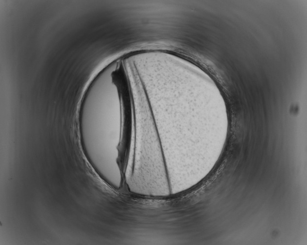 X0000099971184200806201354