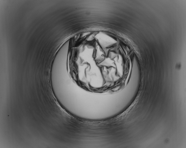 X0000099971185200806201354