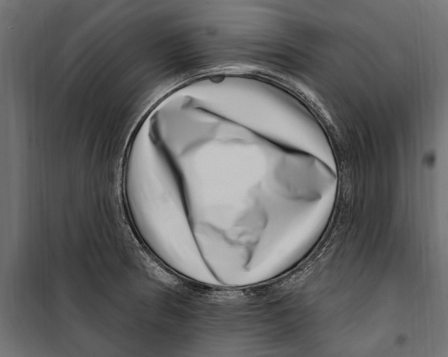 X0000099971186200806201354