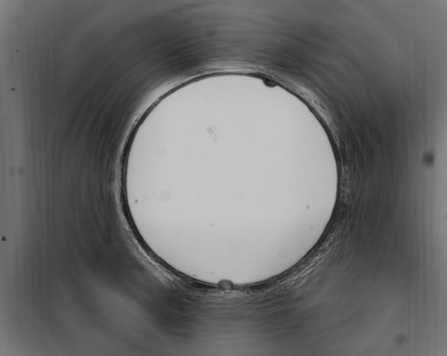 X0000099971187200806201354