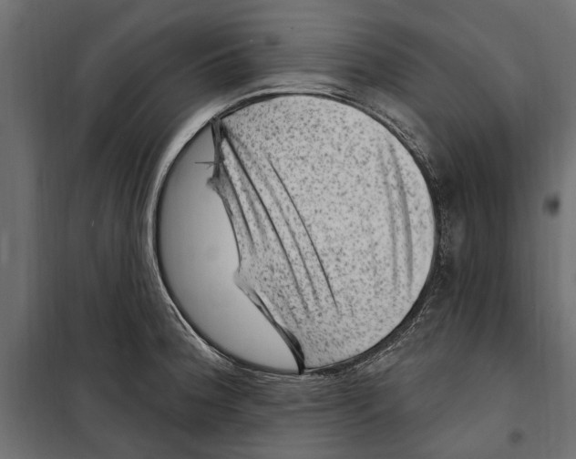 X0000099971188200806201354