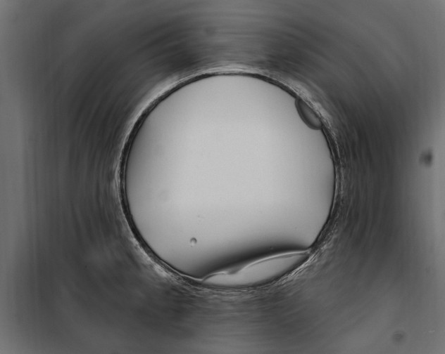 X0000099971189200806201354