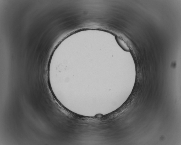 X0000099971191200806201354