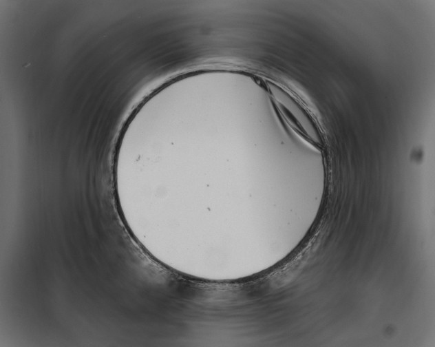 X0000099971192200806201354