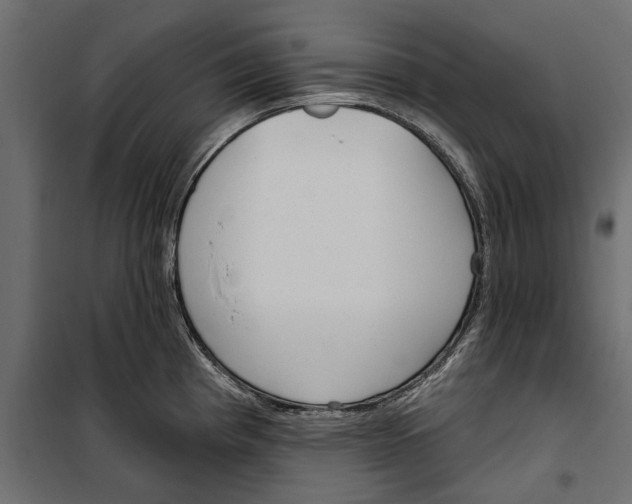 X0000099971193200806201354