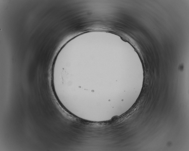 X0000099971195200806201354