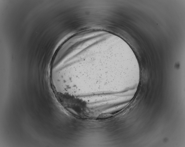 X0000099971198200806201354