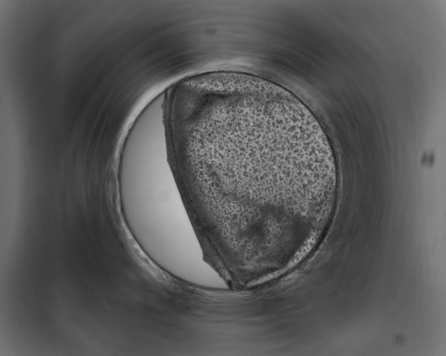 X0000099971200200806201354