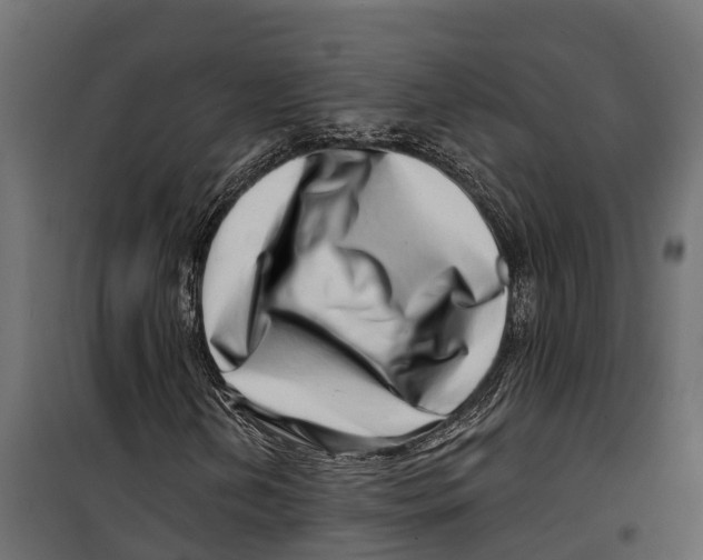 X0000099971202200806201353