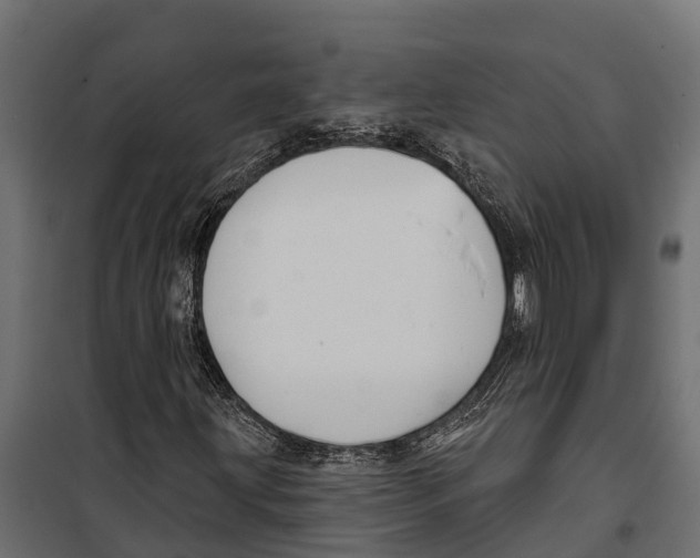 X0000099971203200806201353