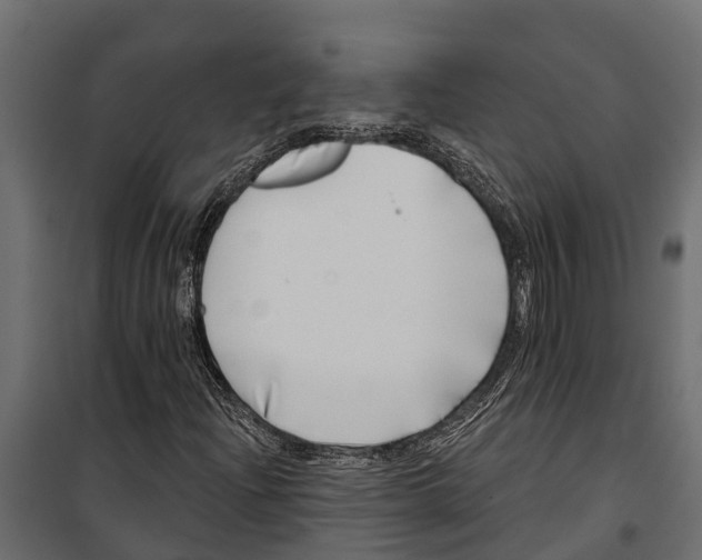 X0000099971204200806201353