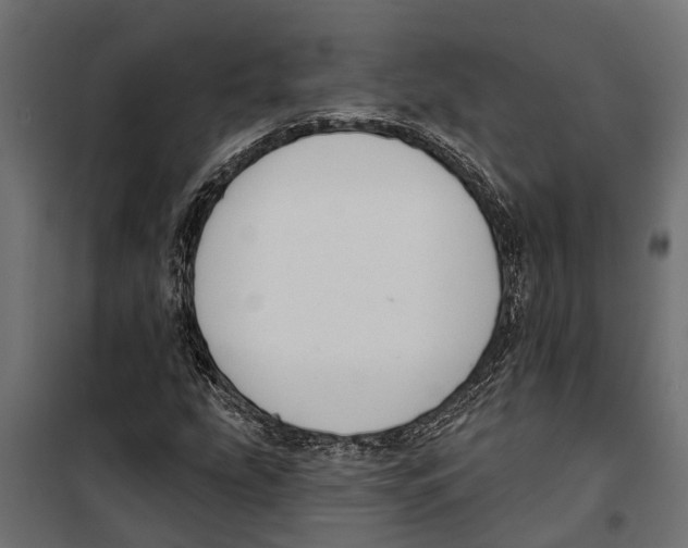 X0000099971207200806201353