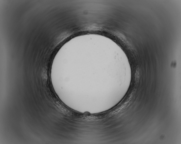 X0000099971209200806201353