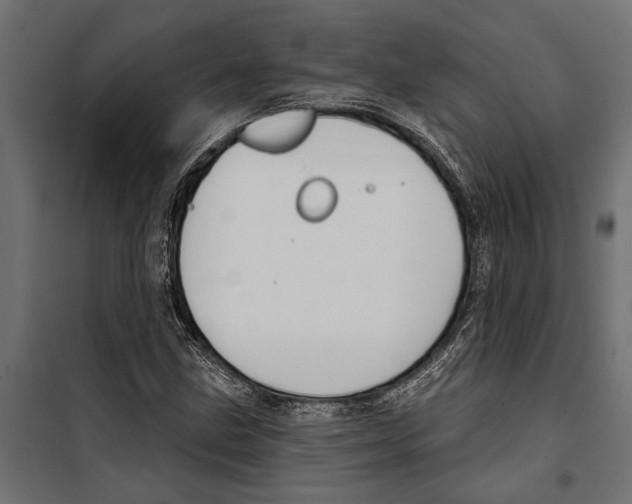 X0000099971211200806201353