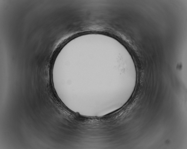 X0000099971214200806201353