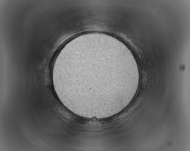 X0000099971215200806201353