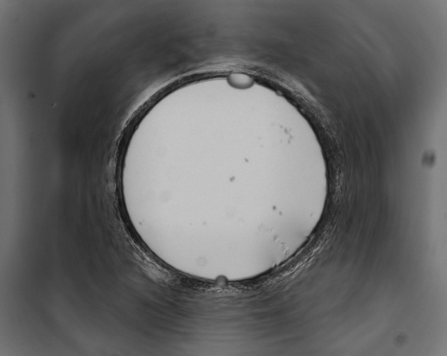 X0000099971216200806201353