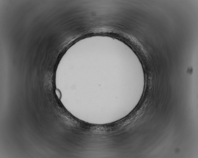 X0000099971217200806201353