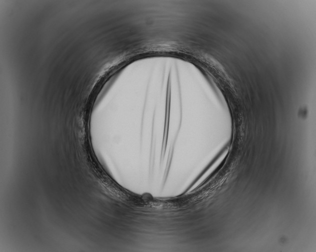 X0000099971218200806201353