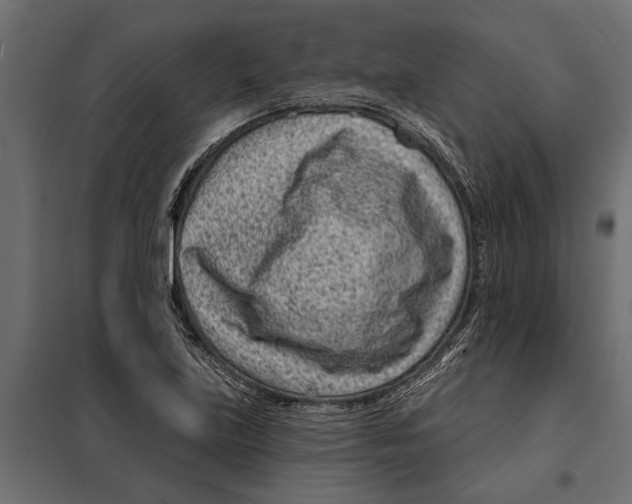 X0000099971219200806201353