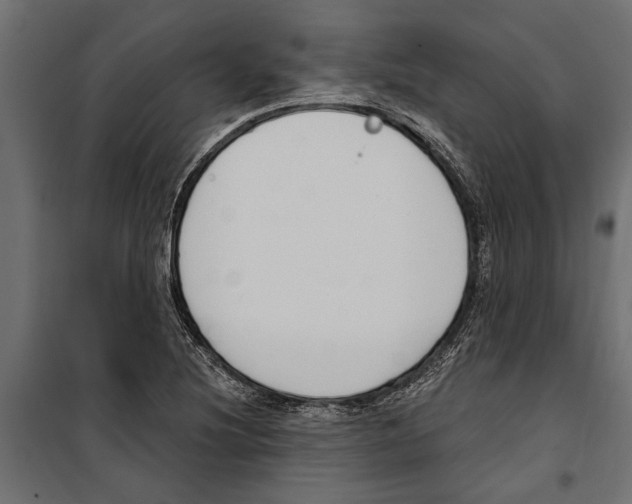 X0000099971220200806201353