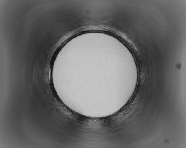 X0000099971221200806201353