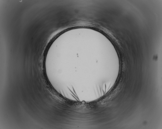 X0000099971222200806201353