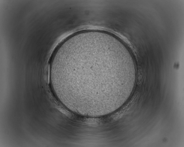 X0000099971223200806201353