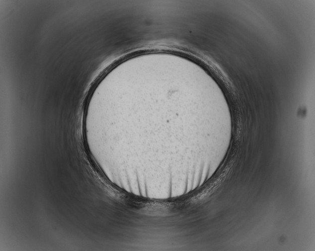 X0000099971224200806201353