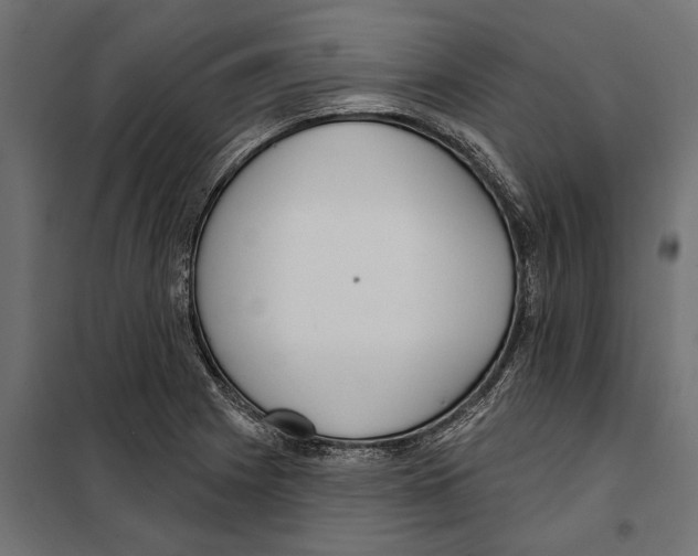 X0000099971225200806201354