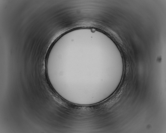 X0000099971226200806201354