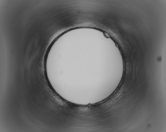 X0000099971230200806201354