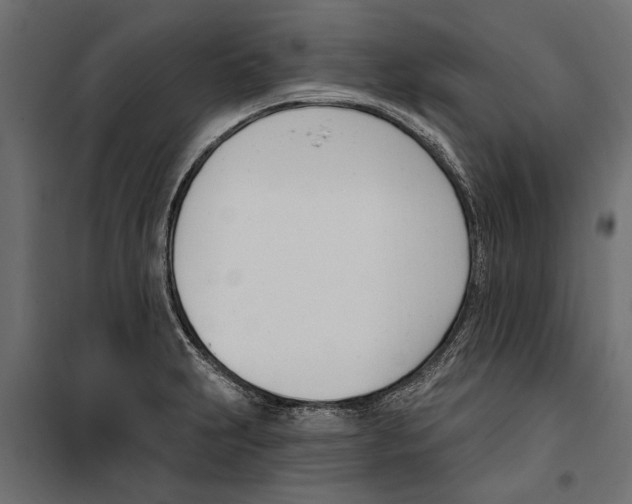 X0000099971231200806201354