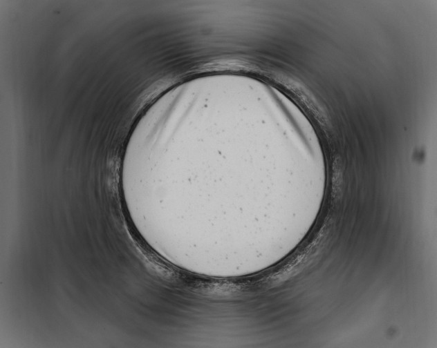 X0000099971233200806201354