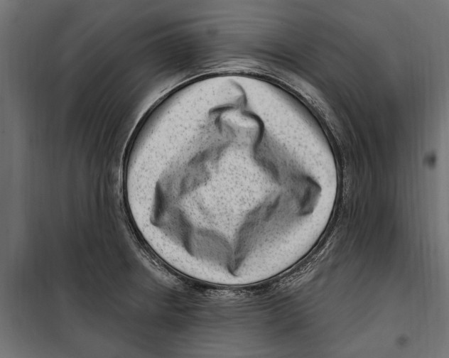 X0000099971234200806201354