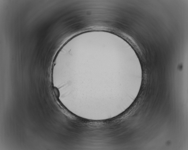 X0000099971236200806201354