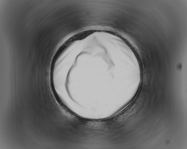 X0000099971237200806201354