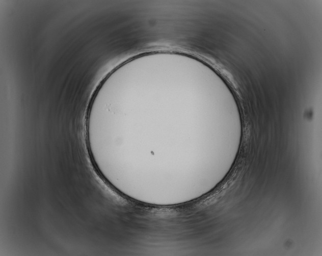 X0000099971239200806201354