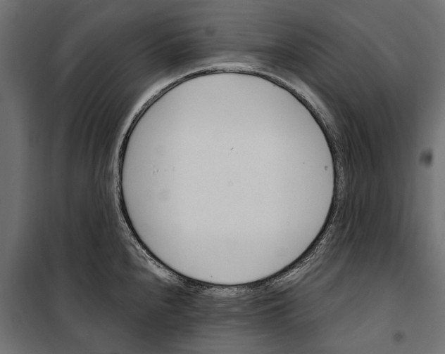 X0000099971240200806201354