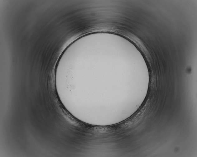 X0000099971242200806201354