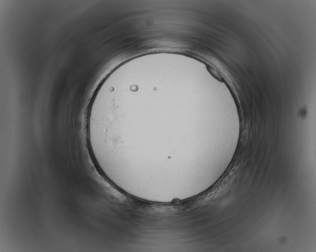 X0000099971243200806201354