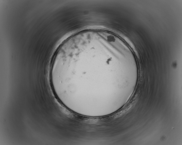 X0000099971245200806201354