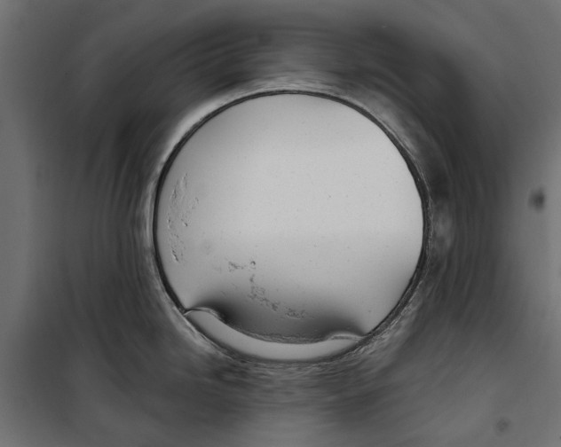 X0000099971246200806201354