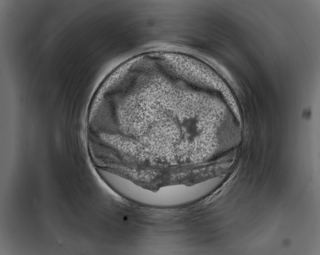 X0000099971247200806201354