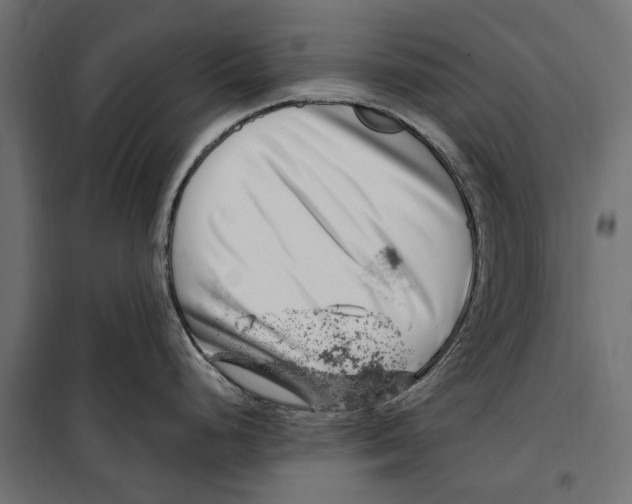 X0000099971248200806201354