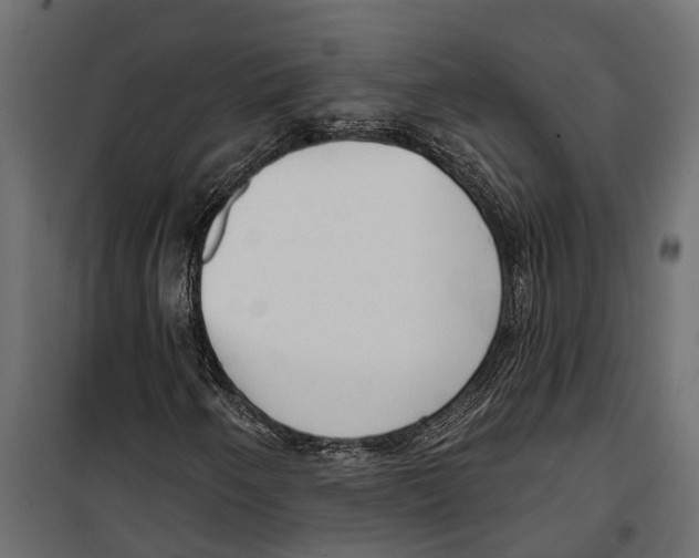 X0000099971250200806201353