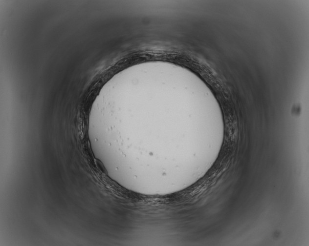 X0000099971253200806201353