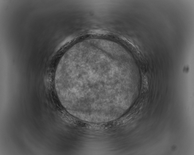 X0000099971254200806201353