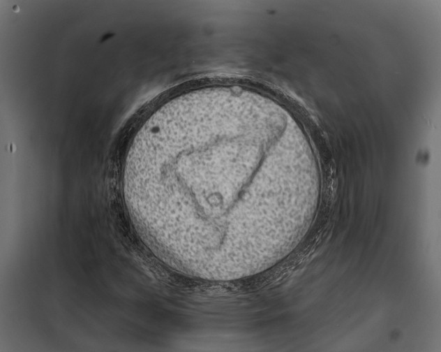 X0000099971255200806201353